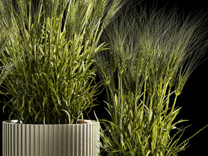 Set Of Green Ears Of Wheat In A Pot 1204 3D मॉडल