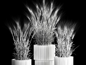 Set Of Green Ears Of Wheat In A Pot 1204 3D मॉडल