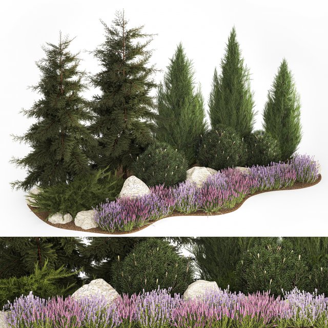 Alpine hill fir tree thuja juniper and lavender bushes 1206 3D Model .c4d .max .obj .3ds .fbx .stl .blend 