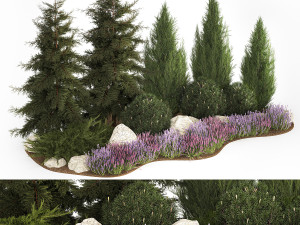 Alpine hill fir tree thuja juniper and lavender bushes 1206 3D Model