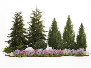 Alpine hill fir tree thuja juniper and lavender bushes 1206 3D Model