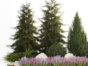 Alpine hill fir tree thuja juniper and lavender bushes 1206 3D Model