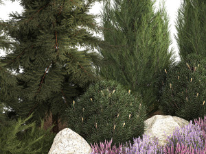 Alpine hill fir tree thuja juniper and lavender bushes 1206 3D Model