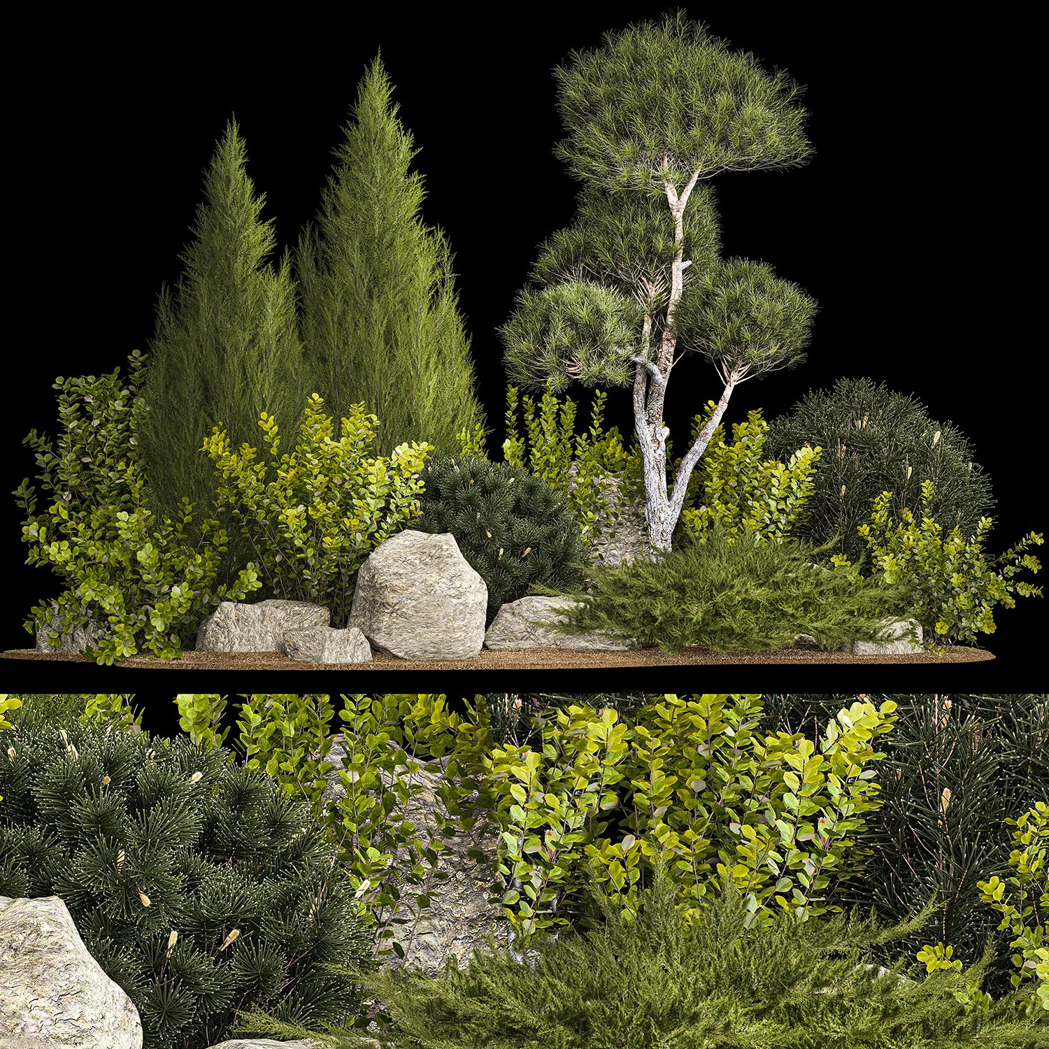Alpine Hill With Thuja Pine Juniper And Bushes 1208 3D Model .c4d .max .obj .3ds .fbx .stl .blend