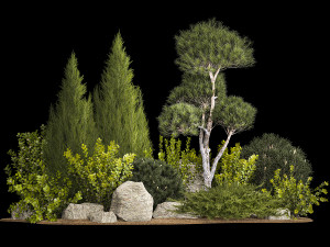 Alpine Hill With Thuja Pine Juniper And Bushes 1208 Model 3D