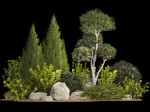 Alpine Hill With Thuja Pine Juniper And Bushes 1208 3D Model