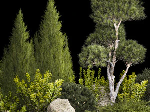 Alpine Hill With Thuja Pine Juniper And Bushes 1208 3D Model