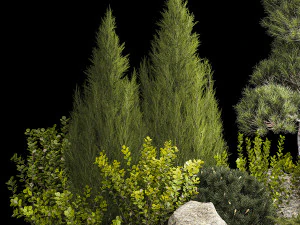 Alpine Hill With Thuja Pine Juniper And Bushes 1208 3D Model