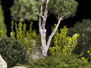 Alpine Hill With Thuja Pine Juniper And Bushes 1208 Model 3D