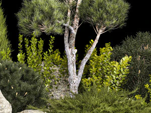 Alpine Hill With Thuja Pine Juniper And Bushes 1208 3D Model