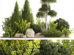 Alpine Hill With Thuja Pine Juniper And Bushes 1208 3D Model