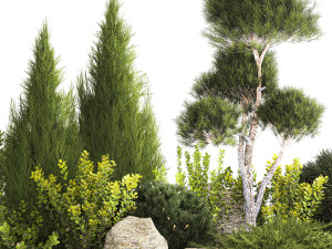 Alpine Hill With Thuja Pine Juniper And Bushes 1208 Model 3D