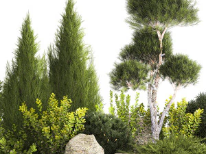 Alpine Hill With Thuja Pine Juniper And Bushes 1208 3D Model
