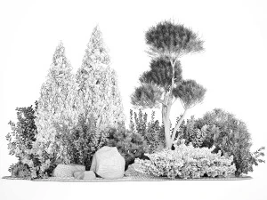 Alpine Hill With Thuja Pine Juniper And Bushes 1208 3D Model