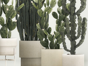 Cactus plants for outdoors and interiors in concrete pots 1209 3D Model