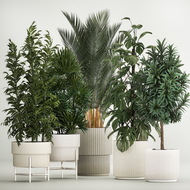 Plants For The Street And Interior In Concrete Pot 1210 Modelo 3D .c4d .max .obj .3ds .fbx .stl .blend 