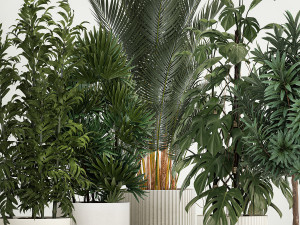 Plants For The Street And Interior In Concrete Pot 1210 Modelo 3D