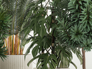 Plants For The Street And Interior In Concrete Pot 1210 Modelo 3D