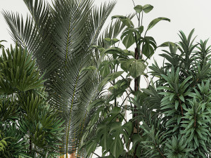 Plants For The Street And Interior In Concrete Pot 1210 Modelo 3D