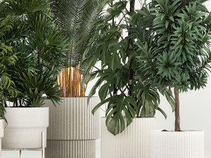 Plants For The Street And Interior In Concrete Pot 1210 Modelo 3D