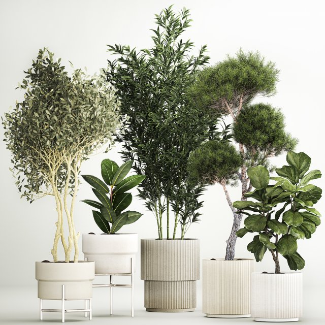 Plants for the street and interior in concrete pots 1211 3D-Modell .c4d .max .obj .3ds .fbx .stl .blend 