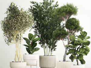 Plants for the street and interior in concrete pots 1211 3D Model