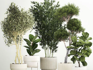 कंक्रीट के बर्तनों में सड़क और आंतरिक भाग के लिए पौधे 1211 3D मॉडल