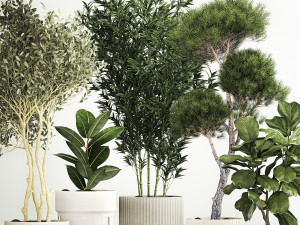 Plants for the street and interior in concrete pots 1211 3D-Modell