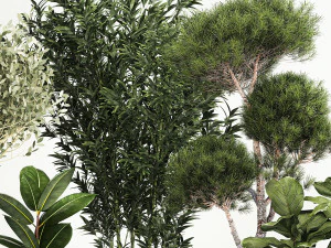 Piante per strada e per interni in vasi di cemento 1211 Modello 3D