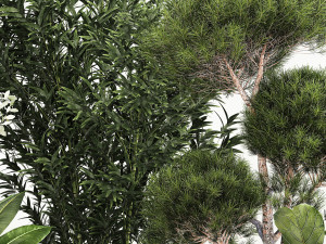 Plants for the street and interior in concrete pots 1211 3D-Modell