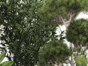 Piante per strada e per interni in vasi di cemento 1211 Modello 3D