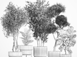 Plants for the street and interior in concrete pots 1211 3D-Modell