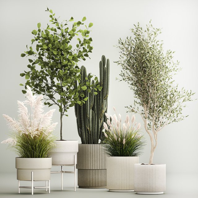 Decorative plants for the street and interior in concrete pots 1212 Modelo 3D .c4d .max .obj .3ds .fbx .stl .blend 