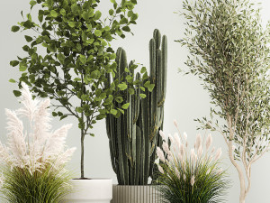 Decorative plants for the street and interior in concrete pots 1212 Modelo 3D