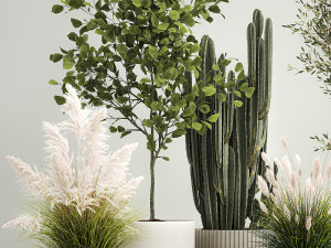 Decorative plants for the street and interior in concrete pots 1212 Modelo 3D