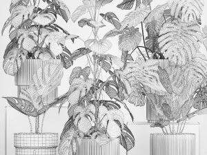 Set of monstera bush plants in a flower pot 1213 3D Model