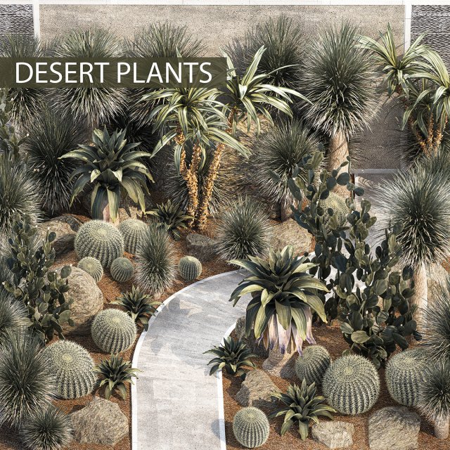 Collection of desert plants from Dracaena and Yucca Cactus 3D-Modell .c4d .max .obj .3ds .fbx .stl .blend 
