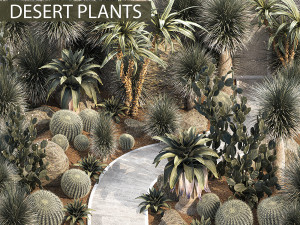Collection of desert plants from Dracaena and Yucca Cactus 3D Model