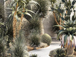 Cole&ccedil;&atilde;o de plantas do deserto de Dracaena e Yucca Cactus Modelo 3D