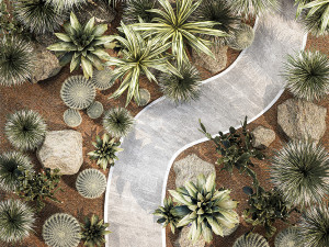 Collection of desert plants from Dracaena and Yucca Cactus 3D-Modell