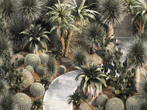 Collection of desert plants from Dracaena and Yucca Cactus 3D-Modell