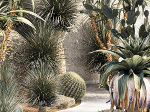 Collection of desert plants from Dracaena and Yucca Cactus 3D-Modell