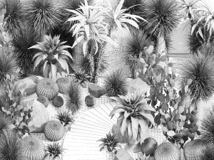 Collection of desert plants from Dracaena and Yucca Cactus 3D-Modell