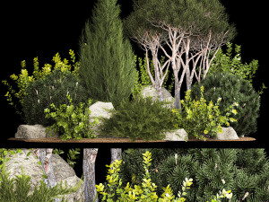 Alpine Hill Pine Topiary Thuja And Juniper 1216 3D Model