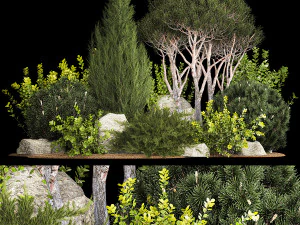 Topiaria da pino collinare alpino Thuja e ginepro 1216 Modello 3D