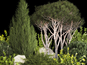 Alpine Hill Pine Topiary Thuja And Juniper 1216 Modelo 3D
