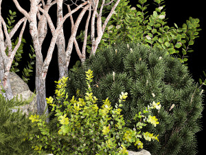 Alpine Hill Pine Topiary Thuja And Juniper 1216 Modelo 3D