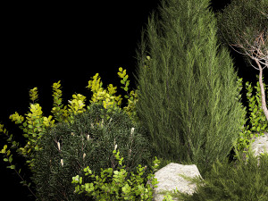 Alpine Hill Pine Topiary Thuja And Juniper 1216 Modelo 3D