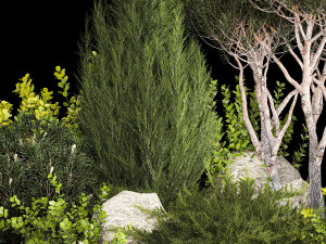 Alpine Hill Pine Topiary Thuja And Juniper 1216 Modelo 3D