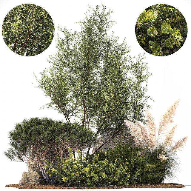 Alpine Slide Of Pine Tipiar Bush Pampas Grass 1217 Modelo 3D .c4d .max .obj .3ds .fbx .stl .blend 